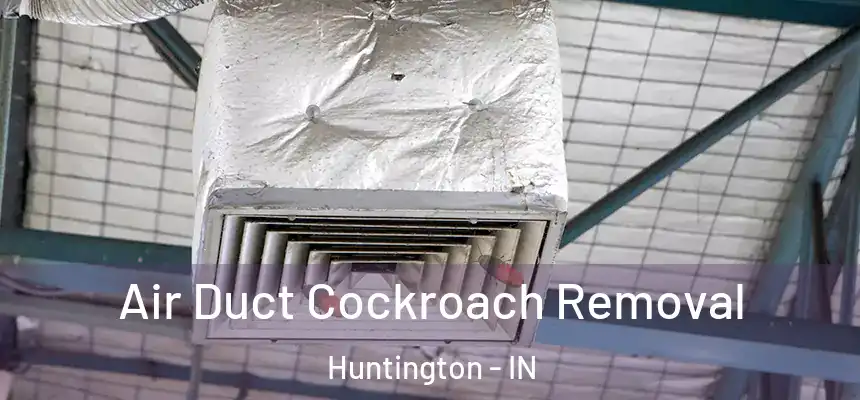 Air Duct Cockroach Removal Huntington - IN