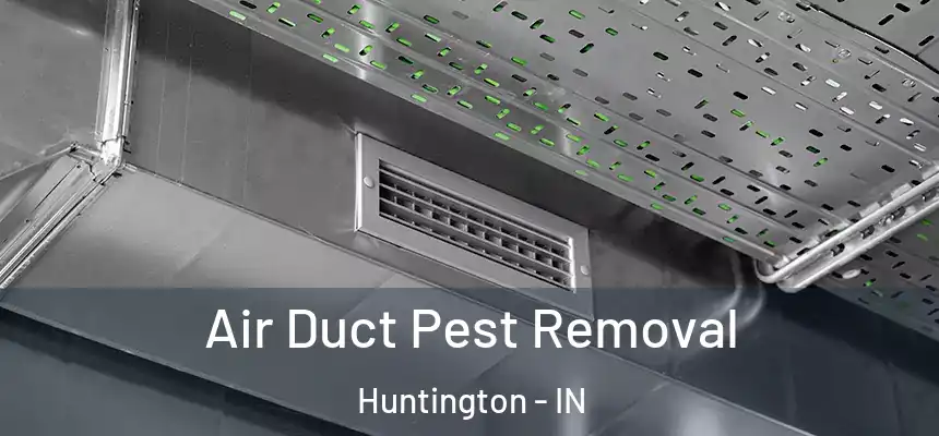 Air Duct Pest Removal Huntington - IN
