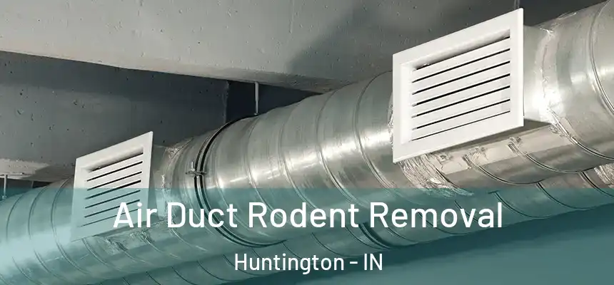 Air Duct Rodent Removal Huntington - IN