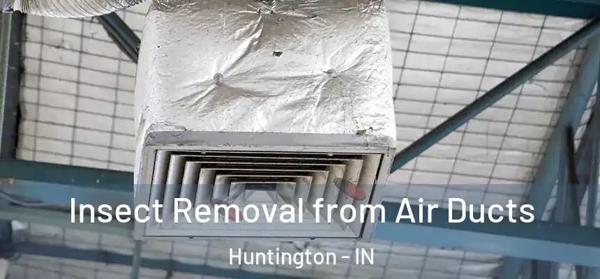 Insect Removal from Air Ducts Huntington - IN