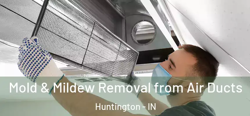 Mold & Mildew Removal from Air Ducts Huntington - IN