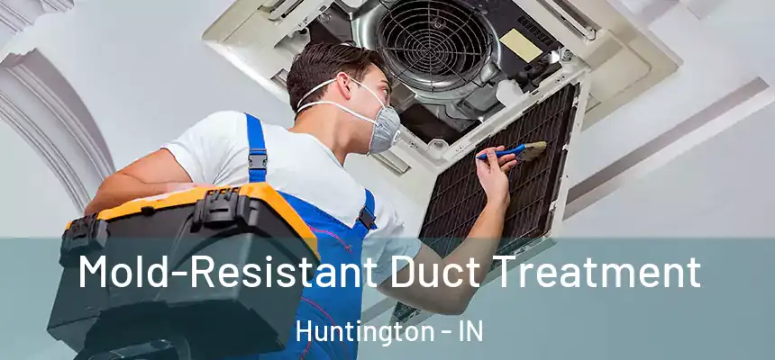 Mold-Resistant Duct Treatment Huntington - IN