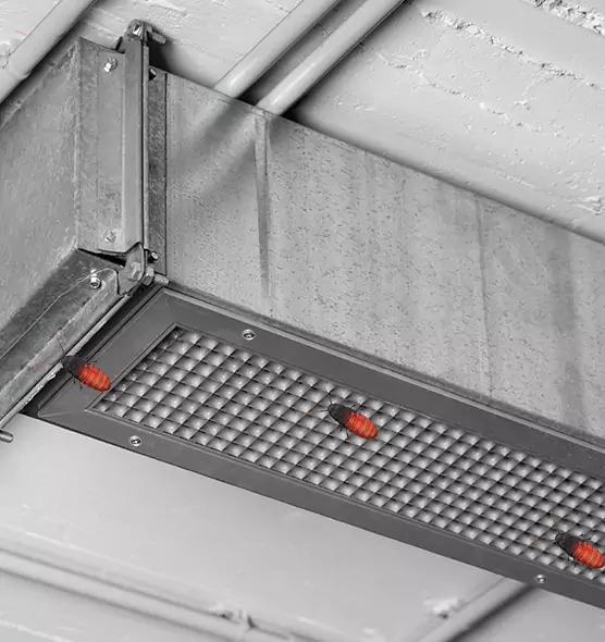 Affordable Insect Removal from Air Ducts in Huntington, IN