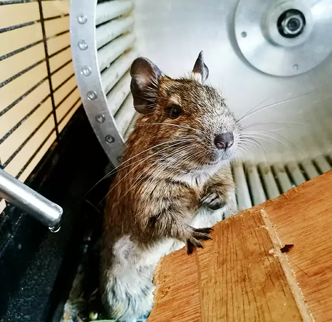 Why Homeowners & Businesses Trust Us Huntington, IN